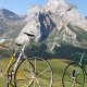 France Aubisque