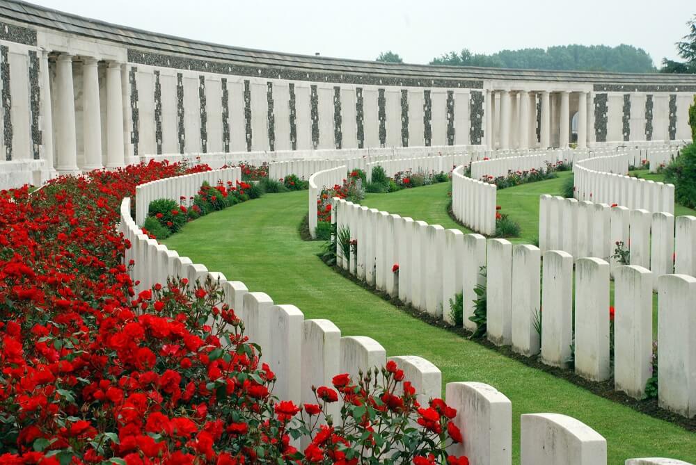 Flanders Fields scattered with red poppies