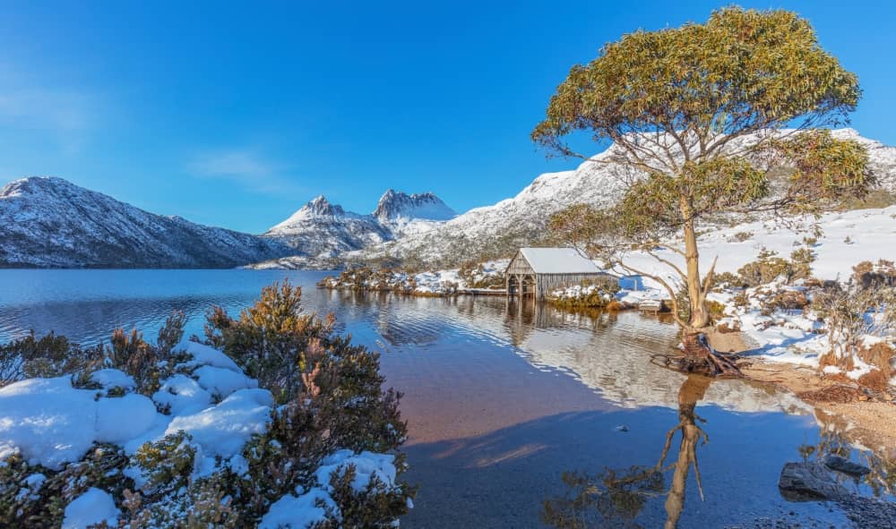 Cradle Mountain is not only a haven for hikers and nature enthusiasts but also a place of tranquility and natural beauty.