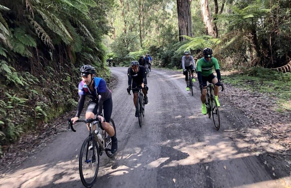 The stunning Acheron Way dirt sector en route to the base of Mount Donna Buang