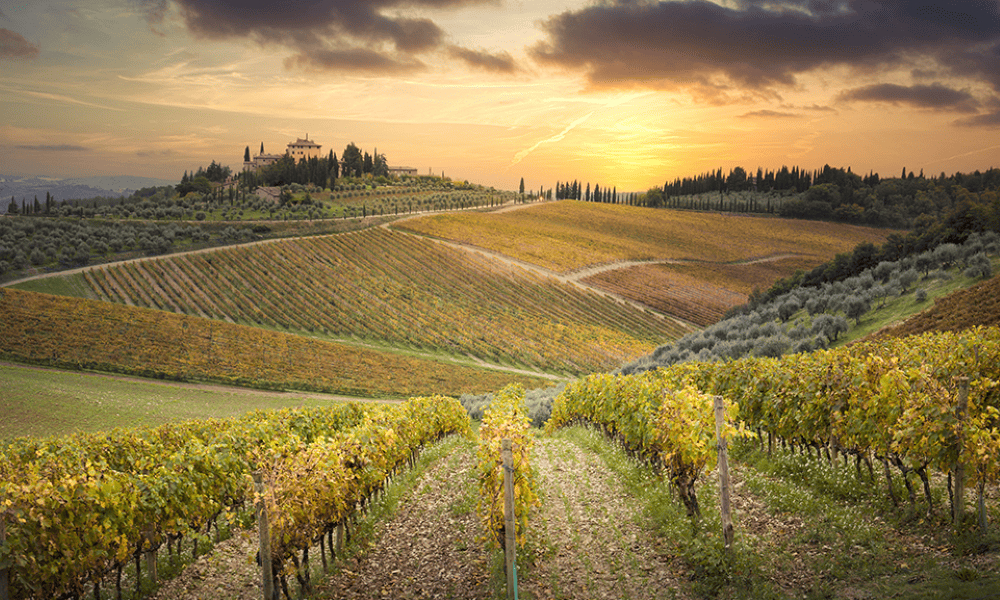 Sunset in Gaiole in Chianti, Tuscany